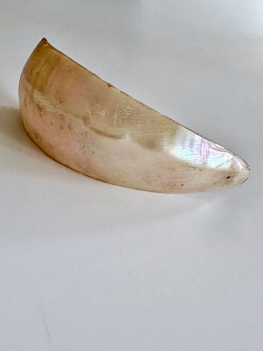 Shell Spoon, Solomon Islands. Oceania-photo-2