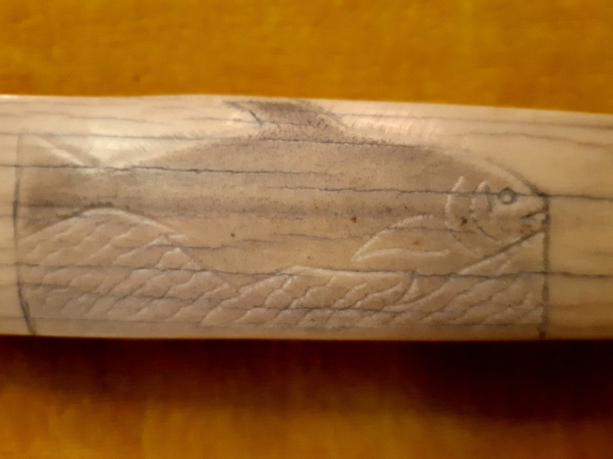 Swordfish Rostrum Carved In Saber And Engraved With Man's Head And Fish-photo-1