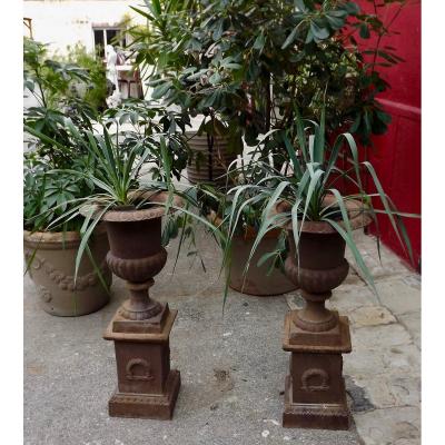 Pair Of Medicis Vases 