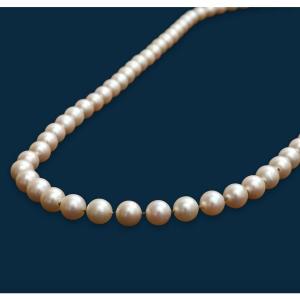 Sexy Girl Cultured Pearls Vintage Long Necklace