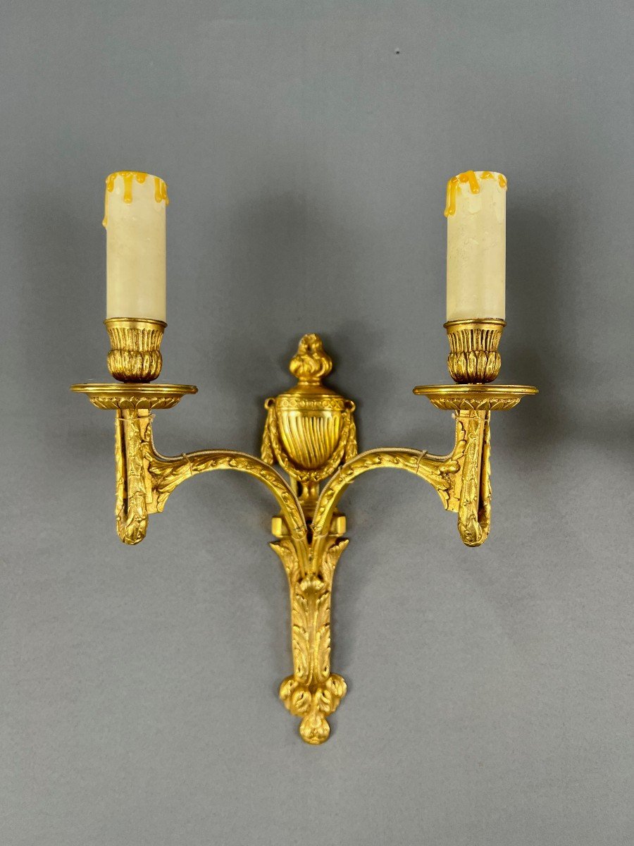 Pair Of Gilt Bronze Wall Lights, Maison Baguès, Louis XVI Style, 20th Century-photo-1