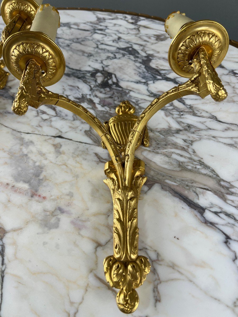 Pair Of Gilt Bronze Wall Lights, Maison Baguès, Louis XVI Style, 20th Century-photo-2