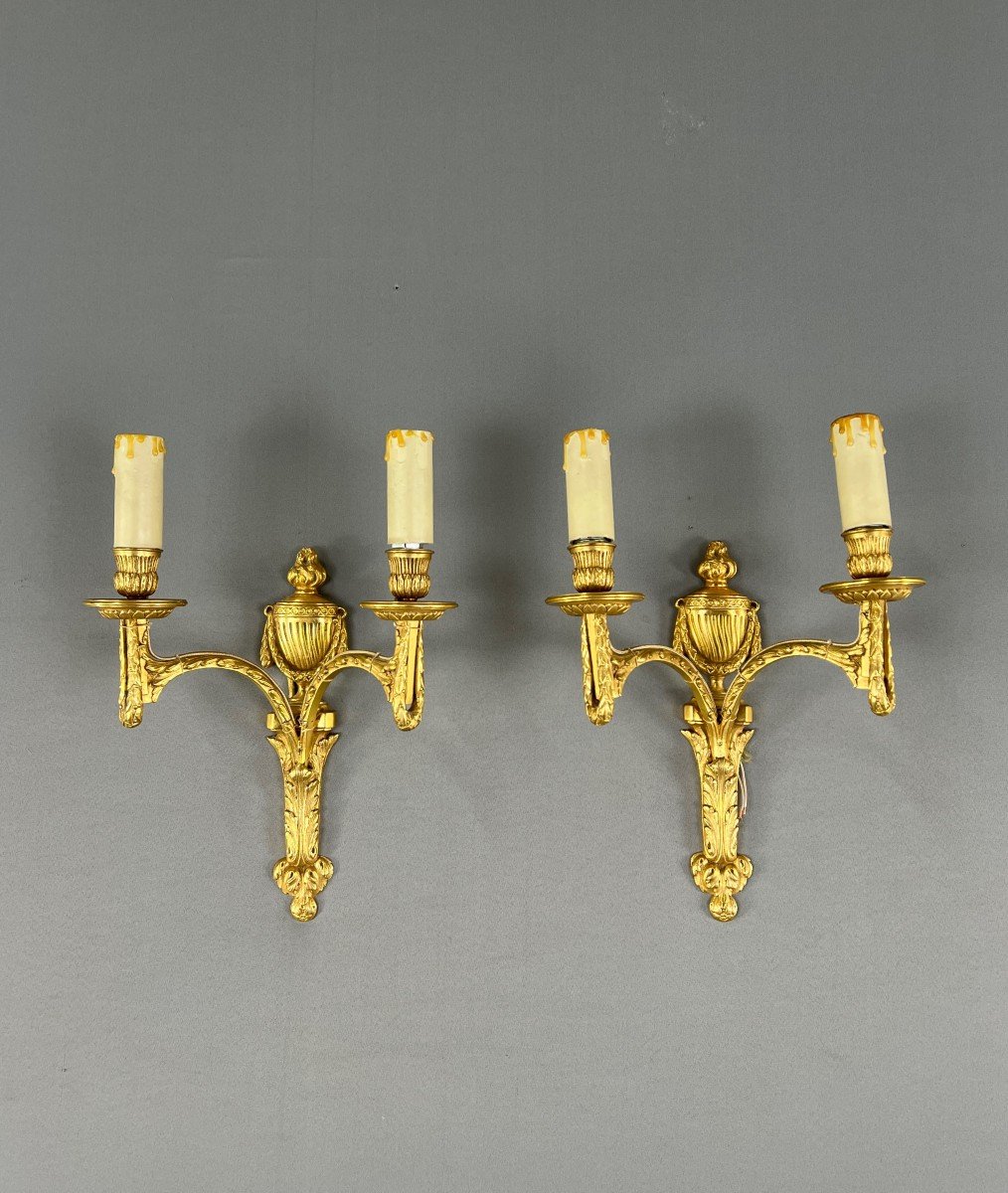 Pair Of Gilt Bronze Wall Lights, Maison Baguès, Louis XVI Style, 20th Century