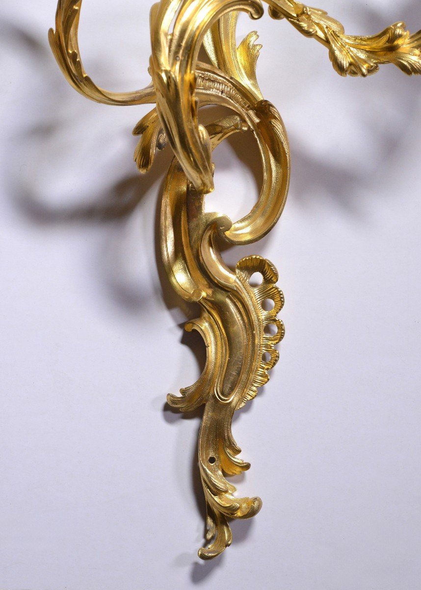 Paire d'Appliques Anciennes En Bronze Doré Du XIXe Siècle De Style Louis XV Rococo-photo-1