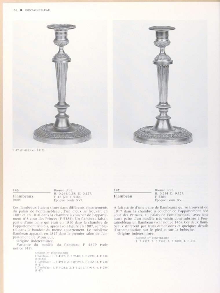 Paris, vers 1800 - paire de grands bougeoirs, flambeaux à l'ormoulu - Galle ou Ravrio-photo-4