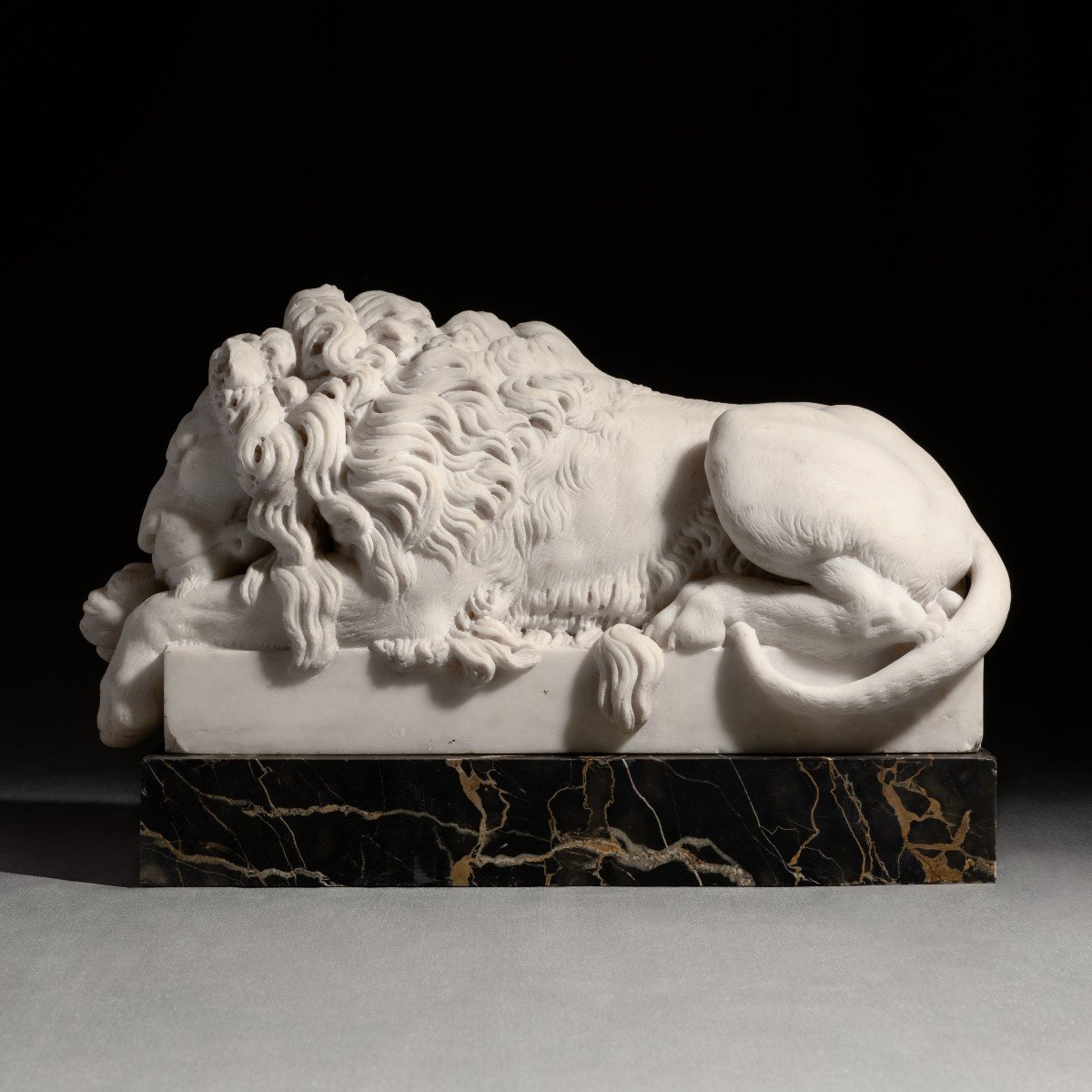 Canova, d'après - paire de lions en marbre sculpté - socles en portor - XIXe siècle -photo-3