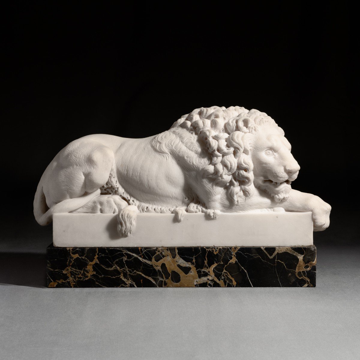 Canova, d'après - paire de lions en marbre sculpté - socles en portor - XIXe siècle -photo-4