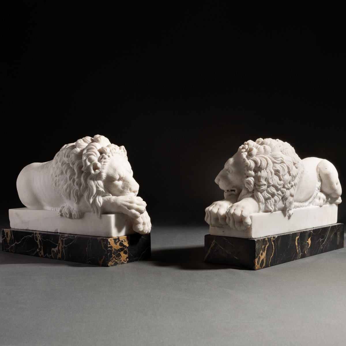 Canova, d'après - paire de lions en marbre sculpté - socles en portor - XIXe siècle 