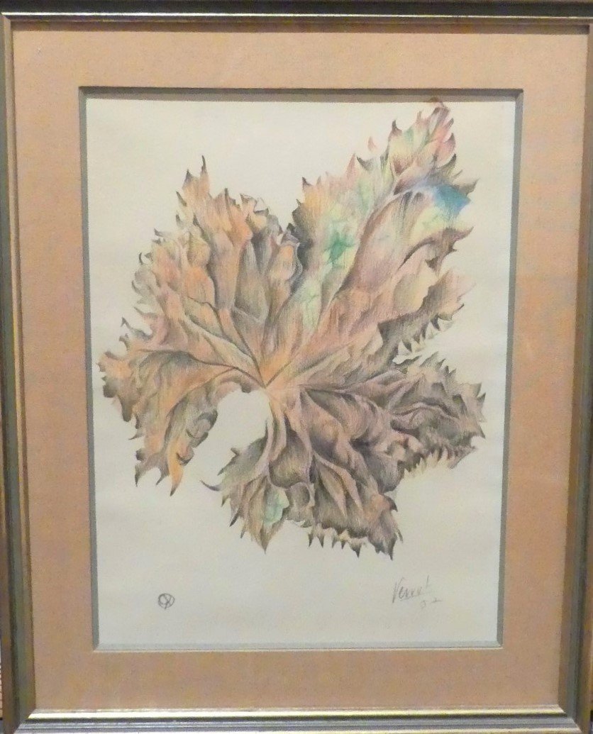 René Perrot -  Feuille  -  Dessin Aux Crayons De Couleurs