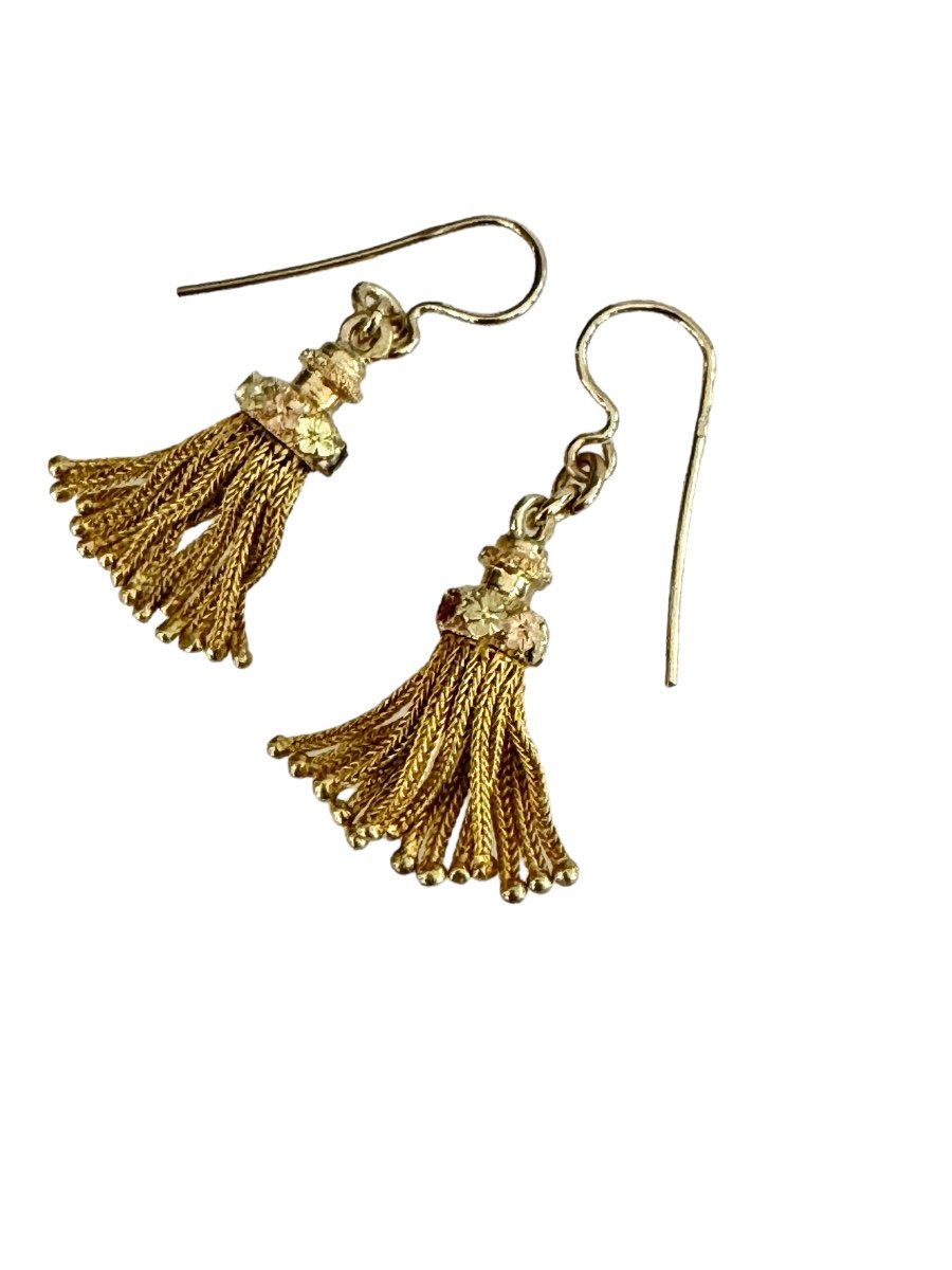 Pair Of Pompom Earrings