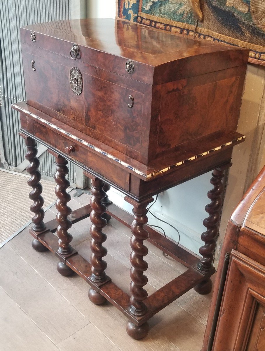 Chest And Its Base | Tinted Bone Thuya Burl | Walnut | XVII-photo-4