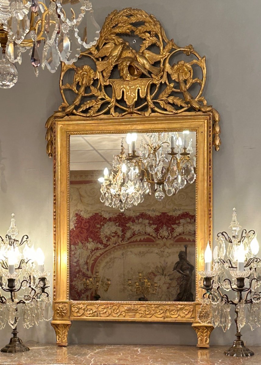 Large Louis XVI Period Gilded Wood Mirror Circa 1780