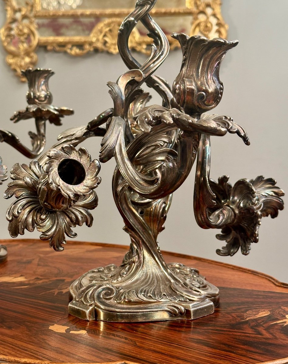 Victor Saglier, Pair Of Rocaille Candelabra In Silvered Bronze (1809-1894)-photo-4