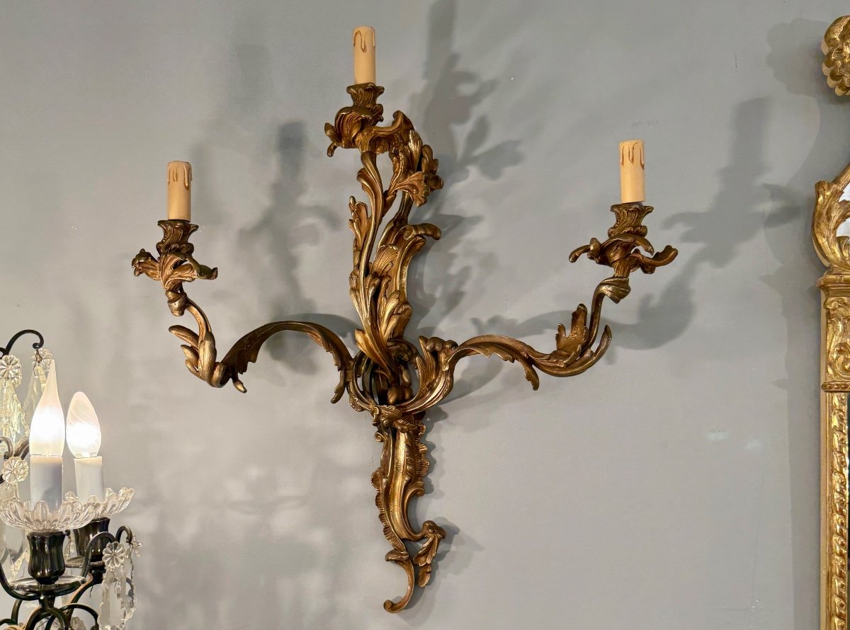 Large Pair Of Louis XV Style Bronze Wall Lights, 19th Century