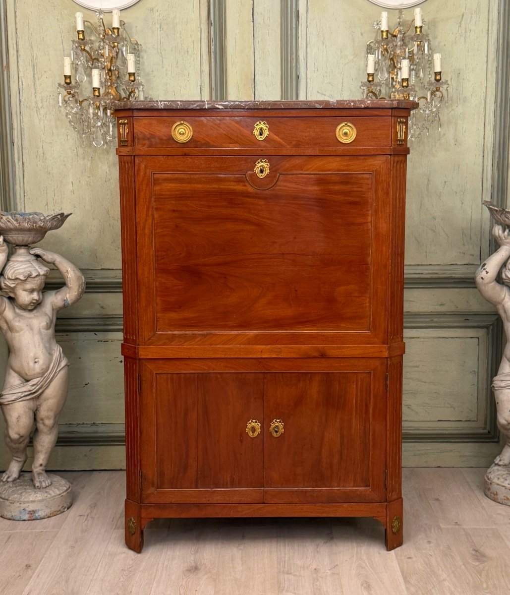 Jacques Bircklé, Louis XVI Stamped Mahogany Secretary, Circa 1780-photo-3