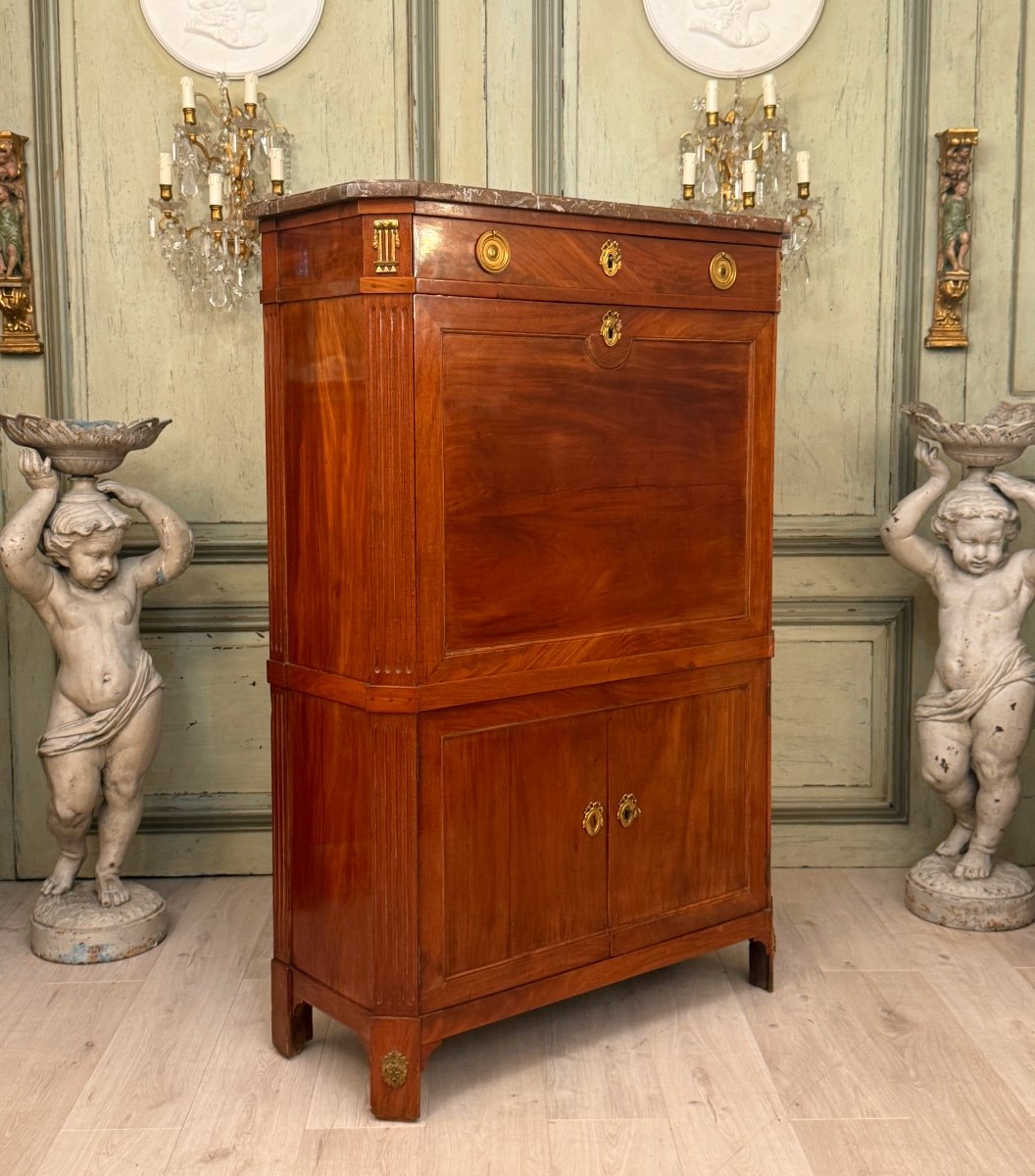 Jacques Bircklé, Louis XVI Stamped Mahogany Secretary, Circa 1780-photo-6