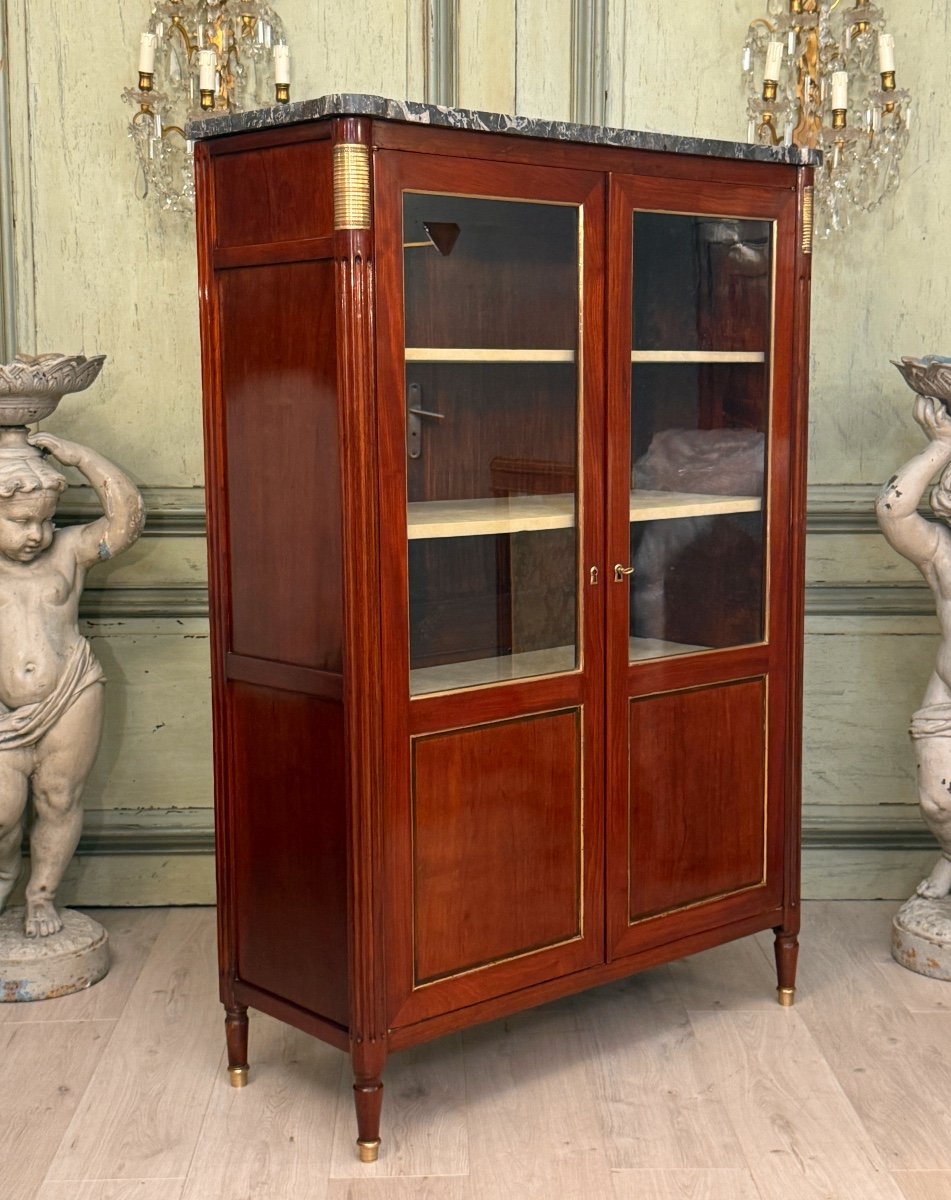 Louis XVI Period Mahogany Library Display Case, Circa 1780-photo-1