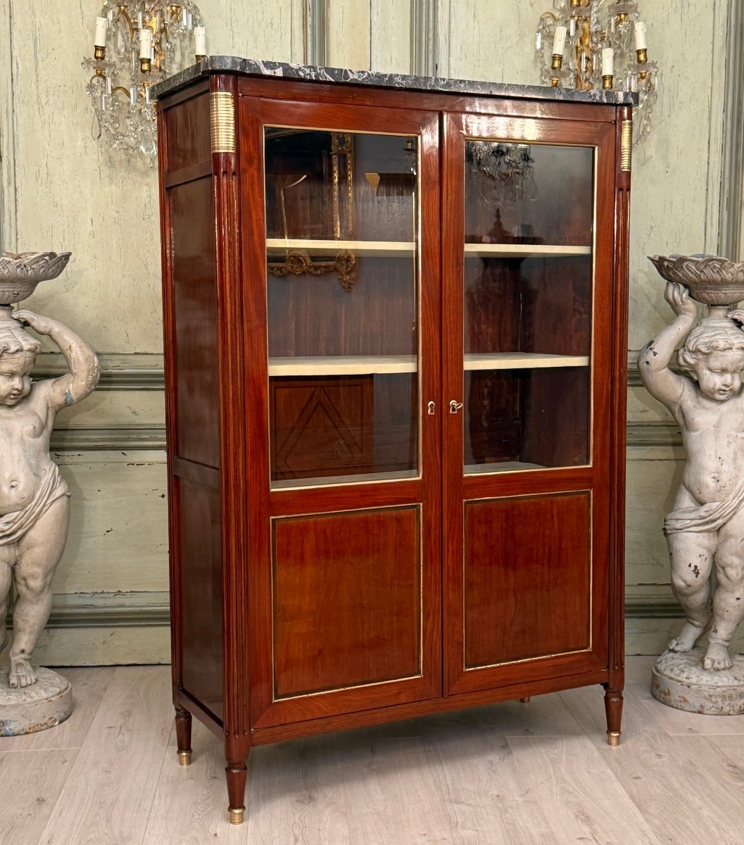 Louis XVI Period Mahogany Library Display Case, Circa 1780