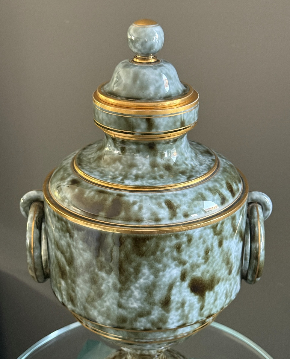 Sevres, 19th Century Porcelain Baluster Covered Vase Circa 1880-photo-7