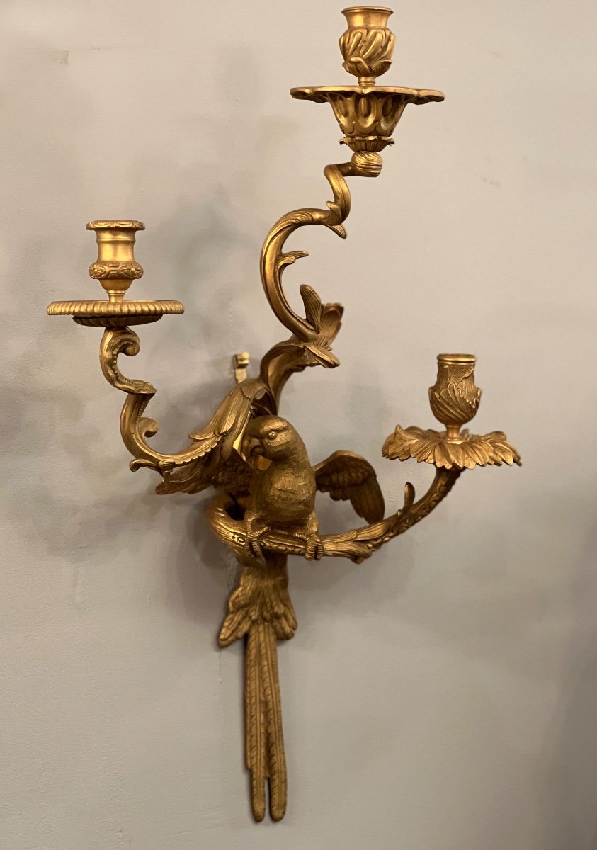 Maison Bagues, Exceptionnel Paire d'Appliques Au Perroquet En Bronze Doré Et Ciselé-photo-2