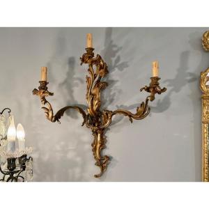 Large Pair Of Louis XV Style Bronze Wall Lights, 19th Century