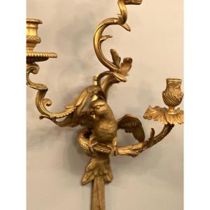 Maison Bagues, Exceptionnel Paire d'Appliques Au Perroquet En Bronze Doré Et Ciselé