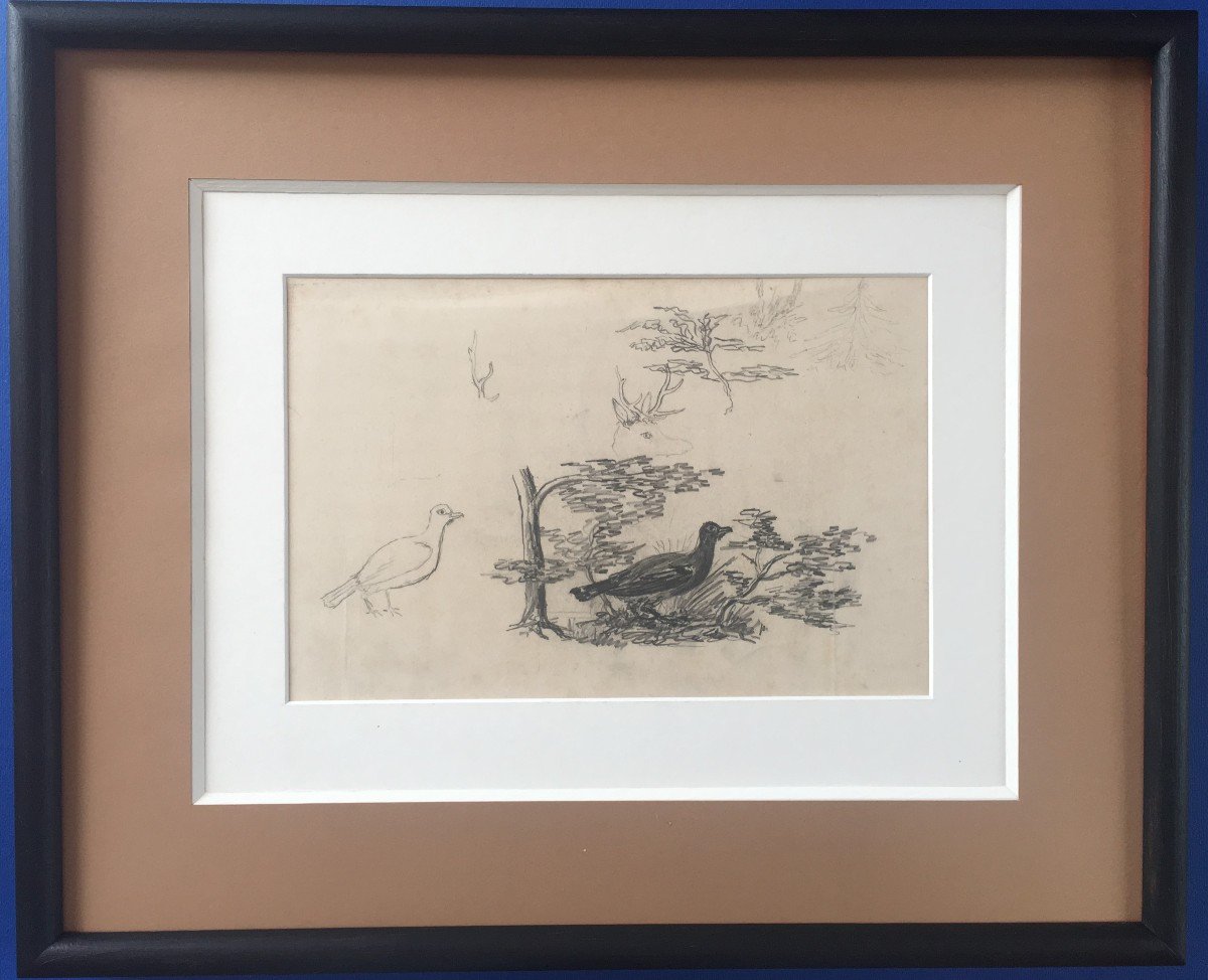 Drawing Executed By The Duke Philippe d'Orléans Study Of Bird  .-photo-2