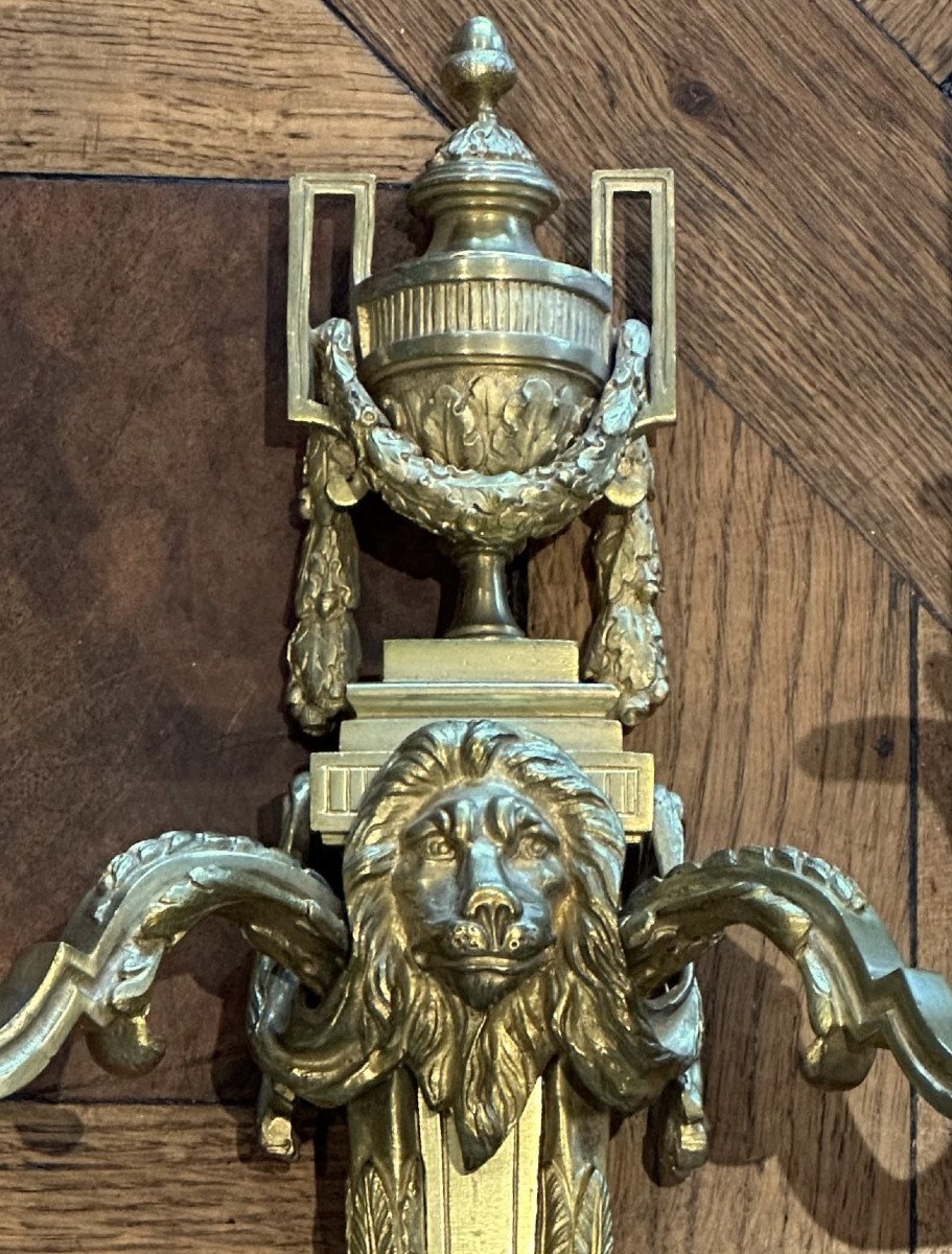 Paire d'Appliques Au Mufle De Lion En Bronze Doré De Style Louis XVI  -photo-1