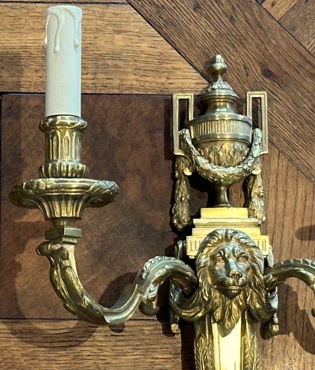 Paire d'Appliques Au Mufle De Lion En Bronze Doré De Style Louis XVI  -photo-3