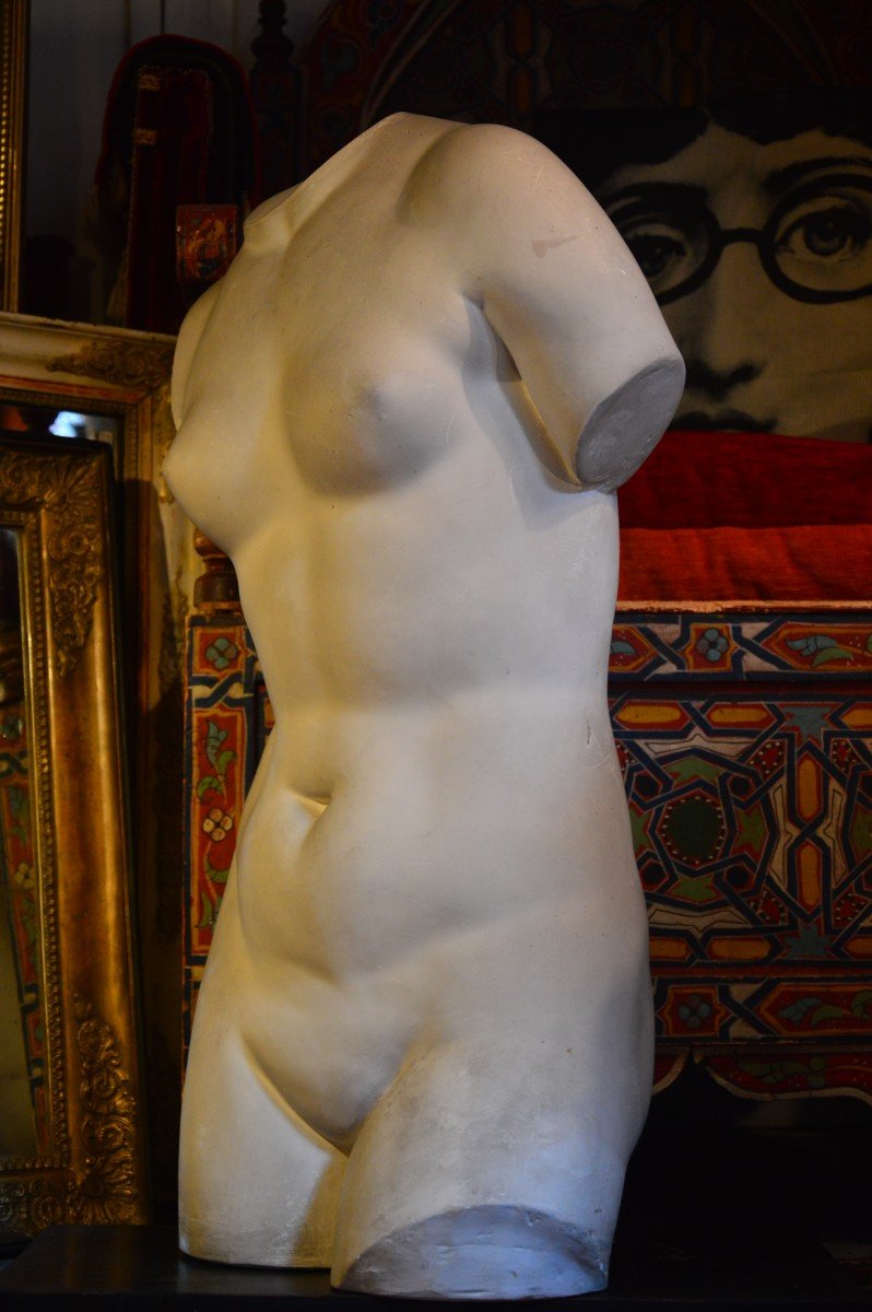 Grand Torse De Venus / Louvre-photo-3