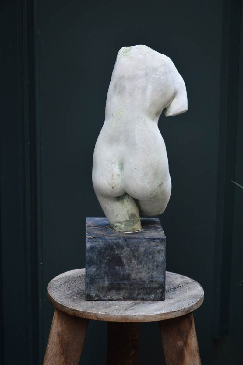 Torso Of Venus-photo-2