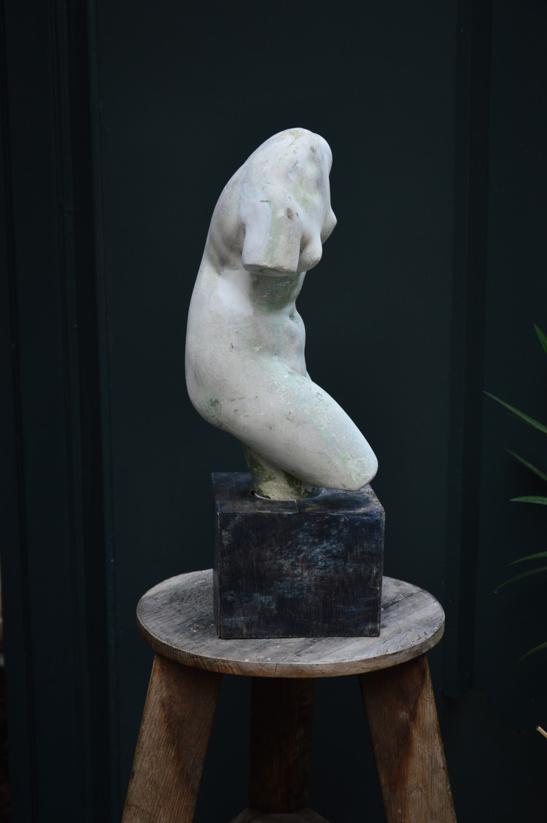 Torso Of Venus-photo-3