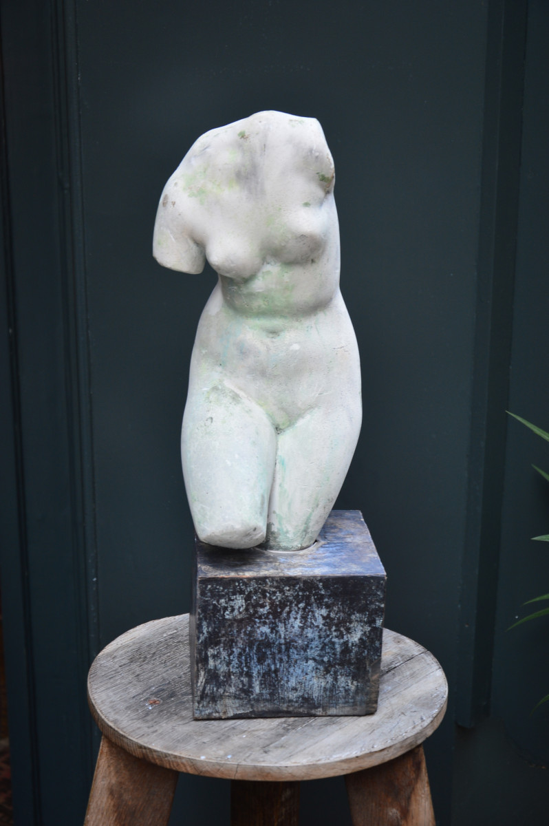 Torso Of Venus