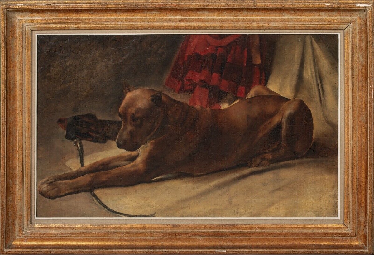 Portrait Of A Great Dane "achilles", 19th Century By Joseph Dierickx (19th Century)  -photo-2