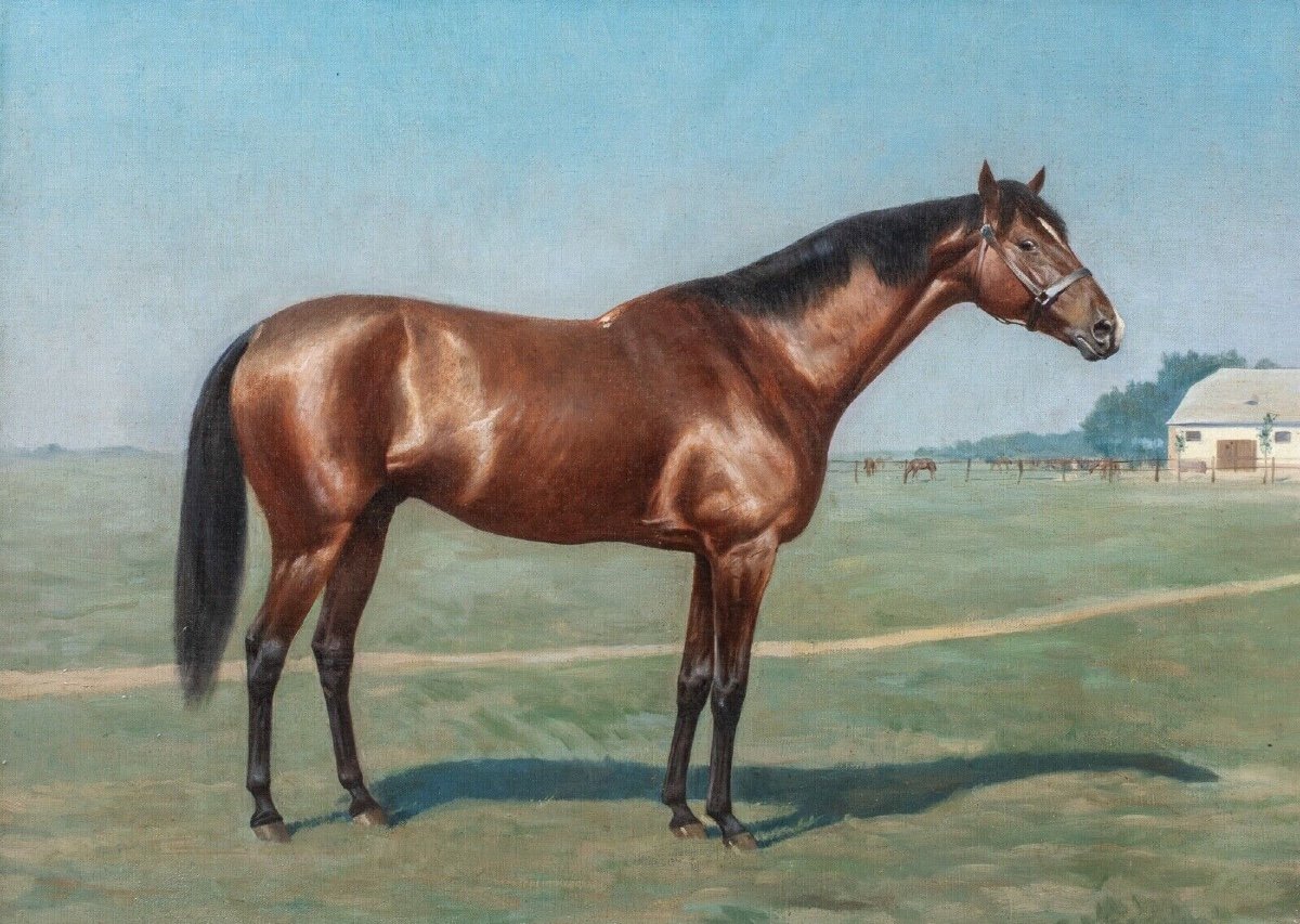 Portrait Of A Bay "ormonde" Horse, 19th Century Julius Von Blaas (1845-1923) -photo-2