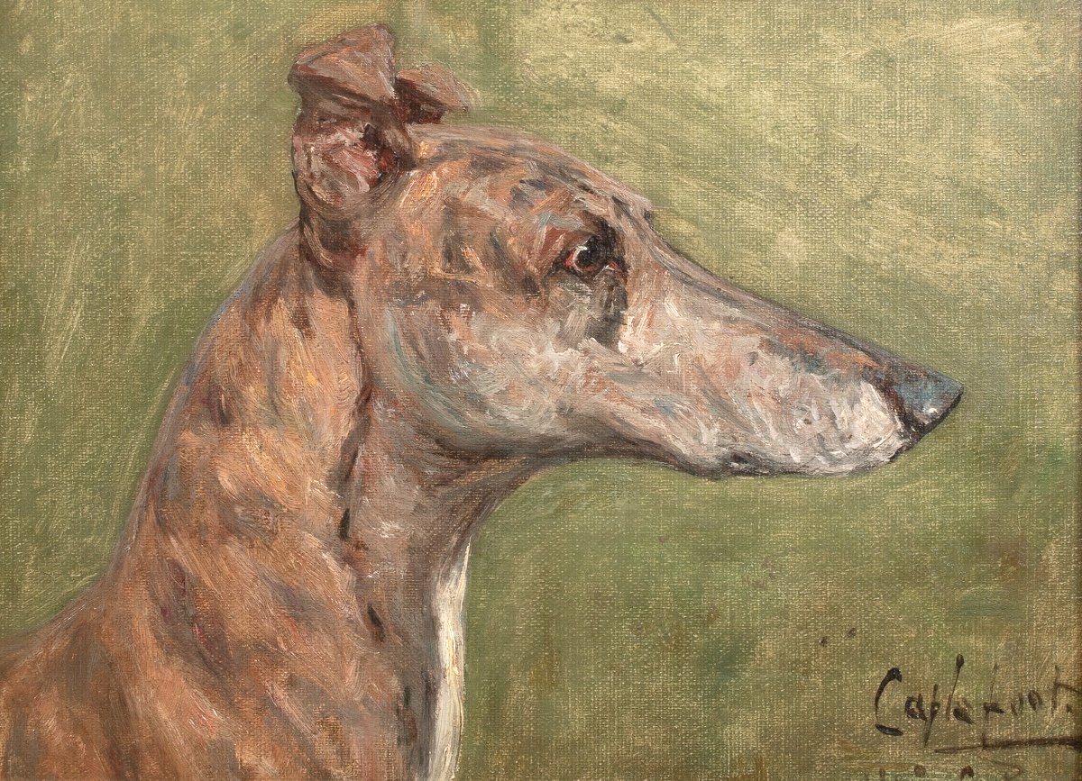 Portrait De "cablefoot" Champion Greyhound, XIXe Siècle  Par George Paice (1854-1925) -photo-2