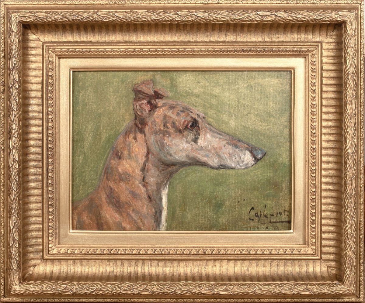 Portrait De "cablefoot" Champion Greyhound, XIXe Siècle  Par George Paice (1854-1925) 