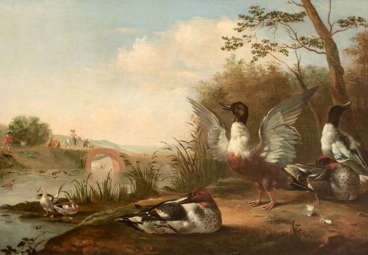 Ducks On The River Bank, 17th Century Circle Of Pieter III Casteels (1684-1749)  -photo-4