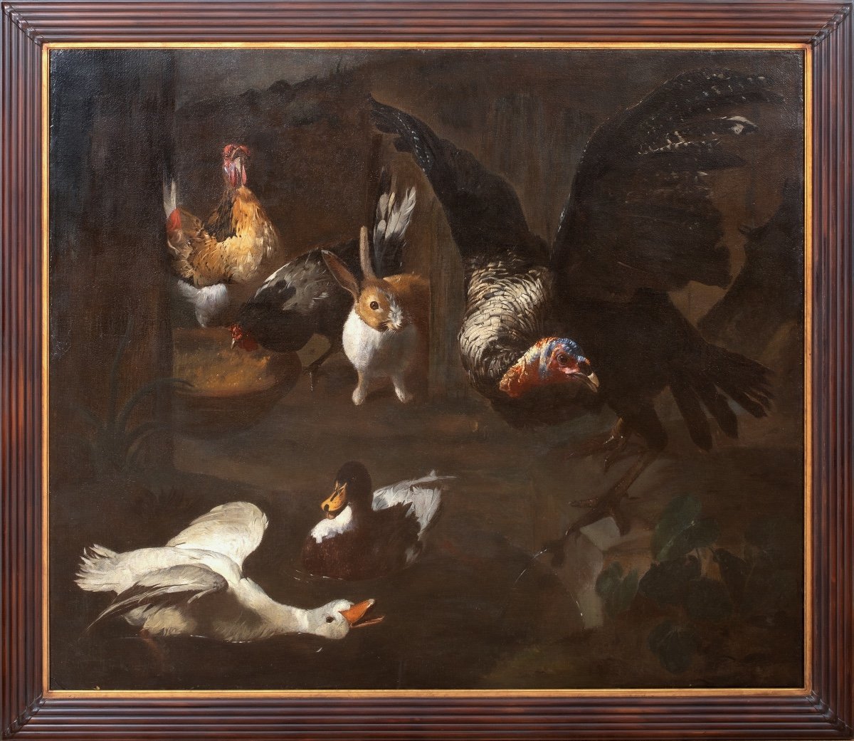 Study Of Farm Birds, 17th Century Attributed To Melchior De Hondecoeter (1636-1695)  