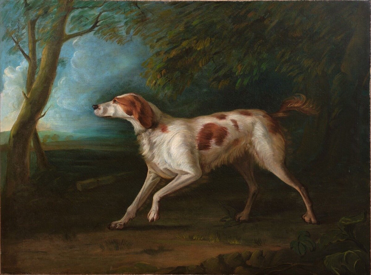 Portrait Of A Brown And White Setter, 18th Century Attributed To Sawrey Gilpin (1733-1807)  -photo-2