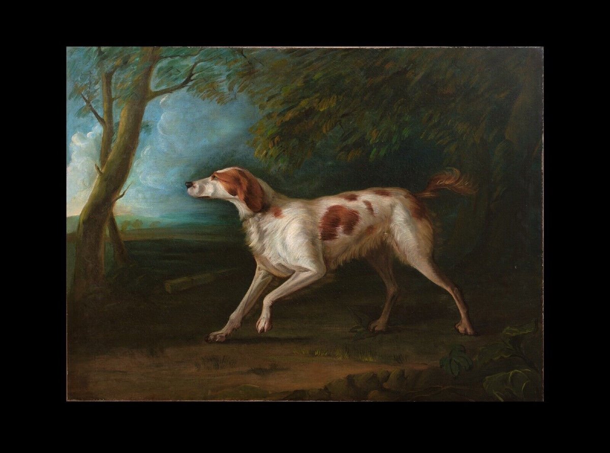 Portrait d'Un Setter Brun Et Blanc, XVIIIe Siècle  Attribué à Sawrey Gilpin (1733-1807)  