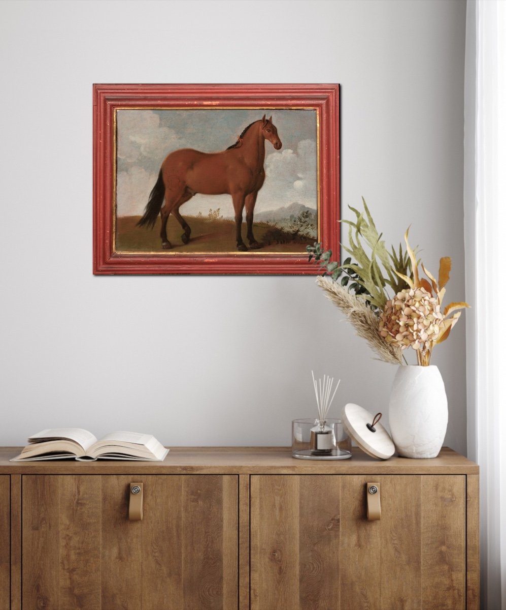 Portrait d'Un Cheval, Favori Du Roi Louis XIV, XVIIe Siècle  école Française -photo-4