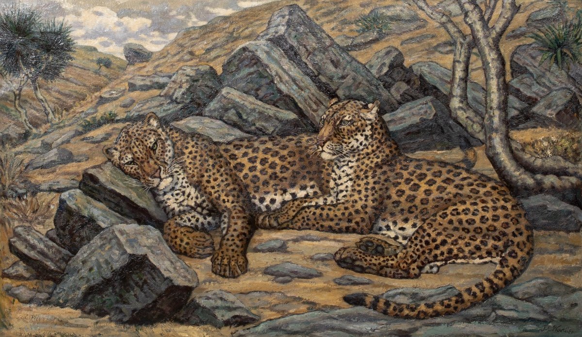 Study Of Leopards, Early 20th Century By John Wardle (early 20th Century, British) -photo-4