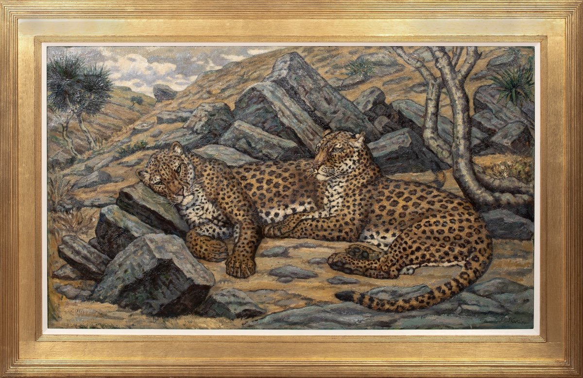 Study Of Leopards, Early 20th Century By John Wardle (early 20th Century, British) 