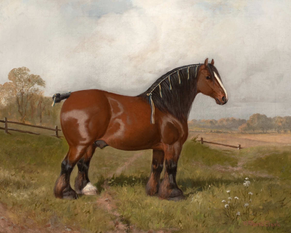 Portrait Of A Prize-winning Shire, 19th Century William Albert Clark (1860-1843)  -photo-2