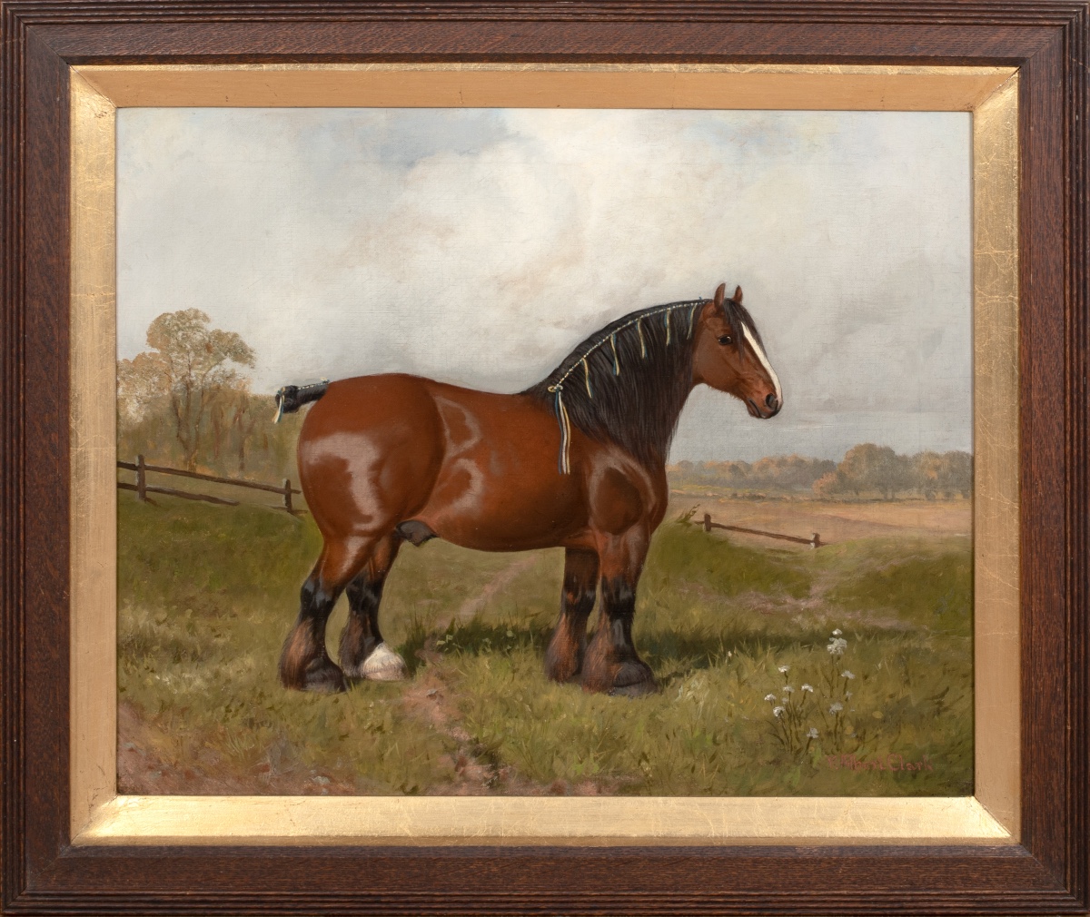 Portrait Of A Prize-winning Shire, 19th Century William Albert Clark (1860-1843)  