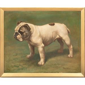 Portrait d'Un Bouledogue Britannique, Vers 1900  Par Hay Hutchison (vers 1900)  