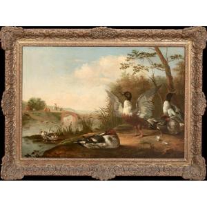 Ducks On The River Bank, 17th Century Circle Of Pieter III Casteels (1684-1749)  