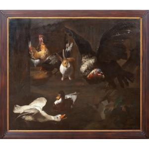 étude d'Oiseaux De Ferme, XVIIe Siècle  Attribué à Melchior De Hondecoeter (1636-1695)  