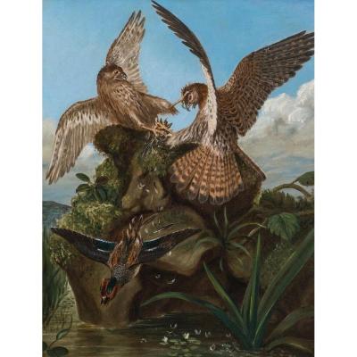 Falcon Battles, Nineteenth Century Circle Of John James Audubon (1785-1851)